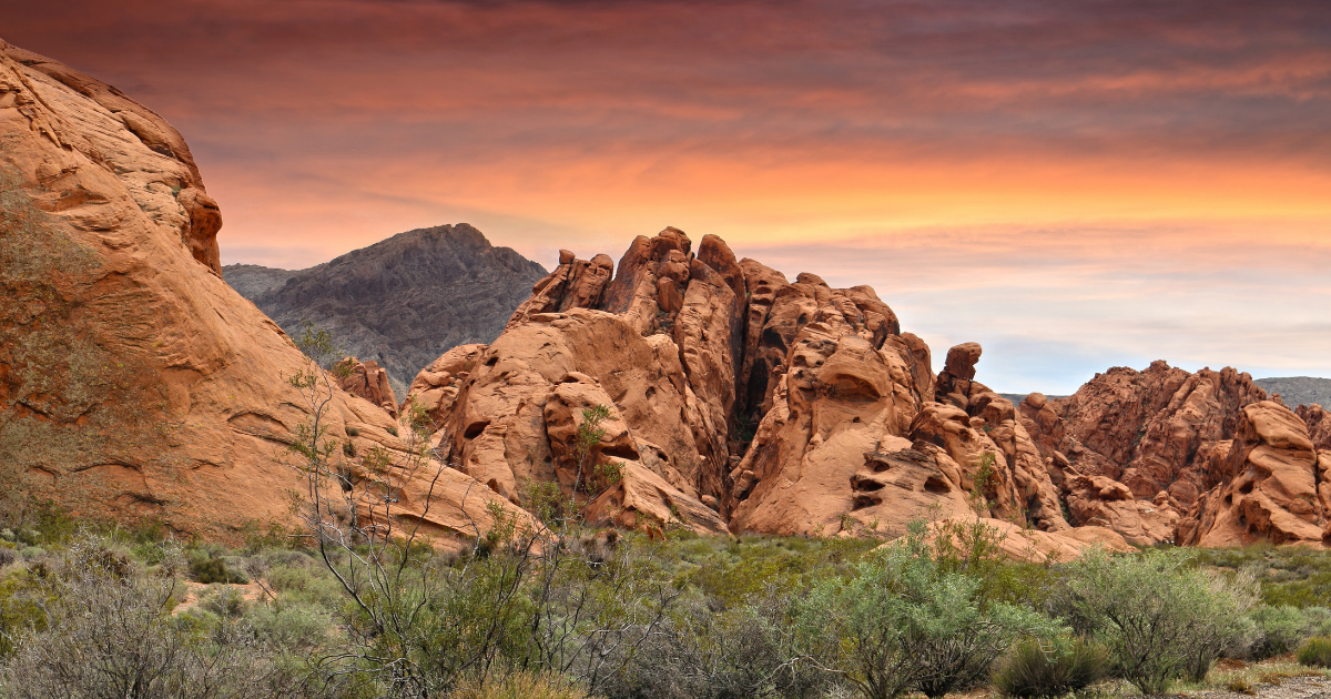 Nevada Landlord Laws