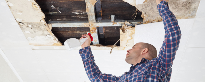 Property Management How to spot water damage before it becomes a bigger issue