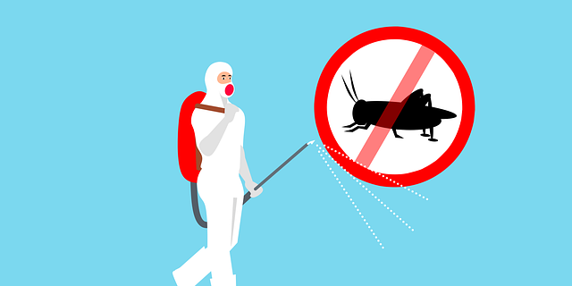 Property Management The Importance of Effective Pest Control for Property Owners