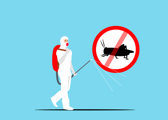 The Importance of Effective Pest Control for Property Owners