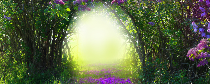 Property Management Seasonal Attractions Near Opportunity Village