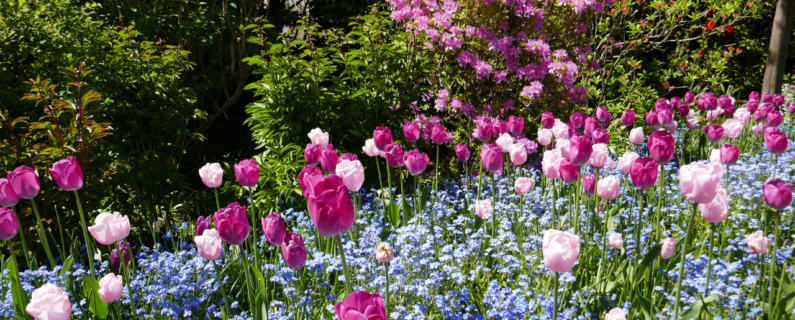 Property Management, Real Estate Why Living Near Springs Preserve Is a Nature Lover's Dream