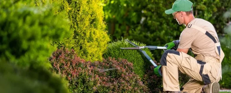 Property Management Landscape Maintenance and Rental Properties: Who is Responsible?