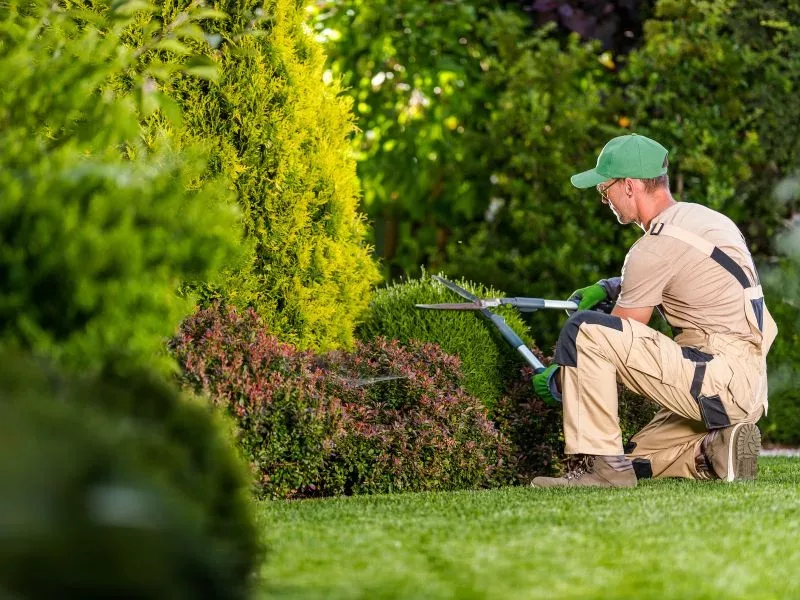 Landscape Maintenance and Rental Properties: Who is Responsible?